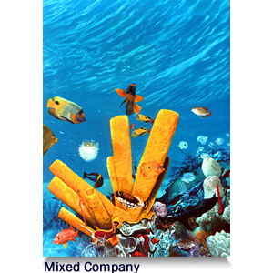 Mixed Company